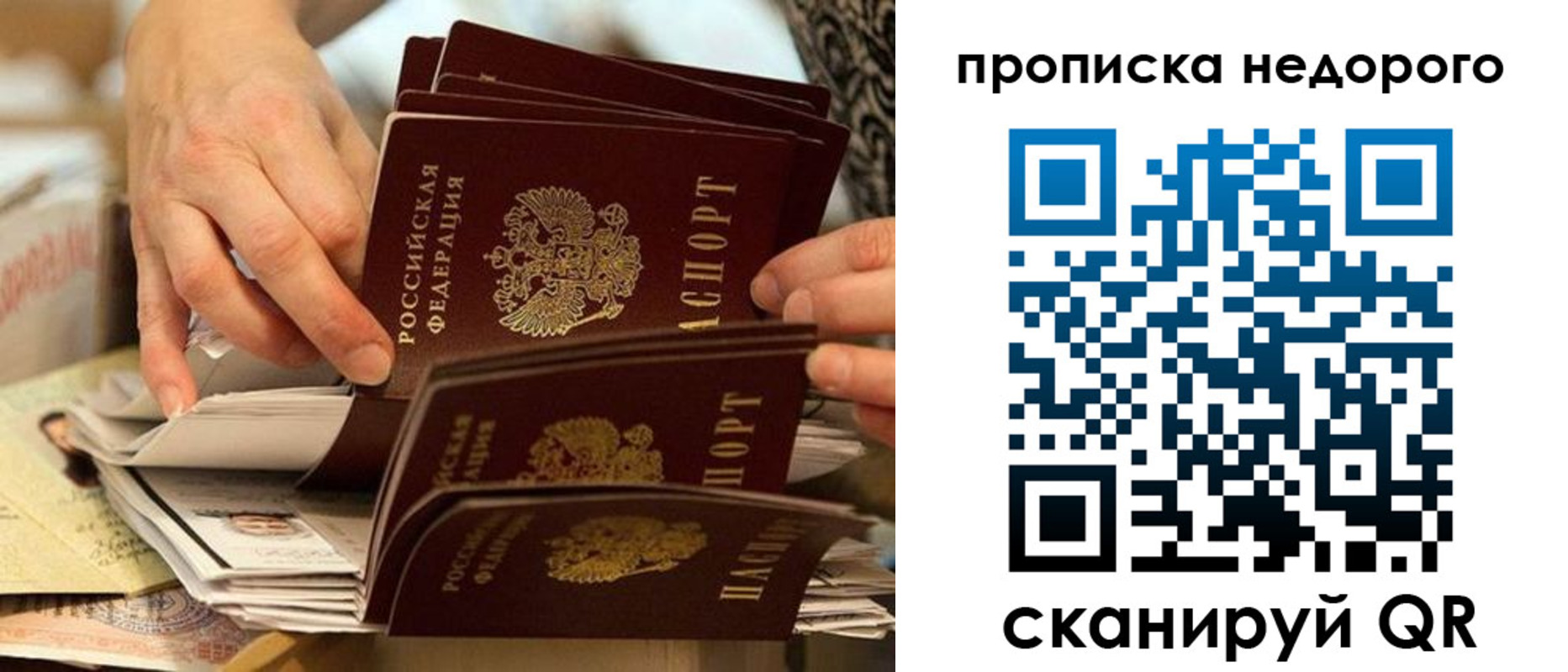 миграционный учет в Сертолово